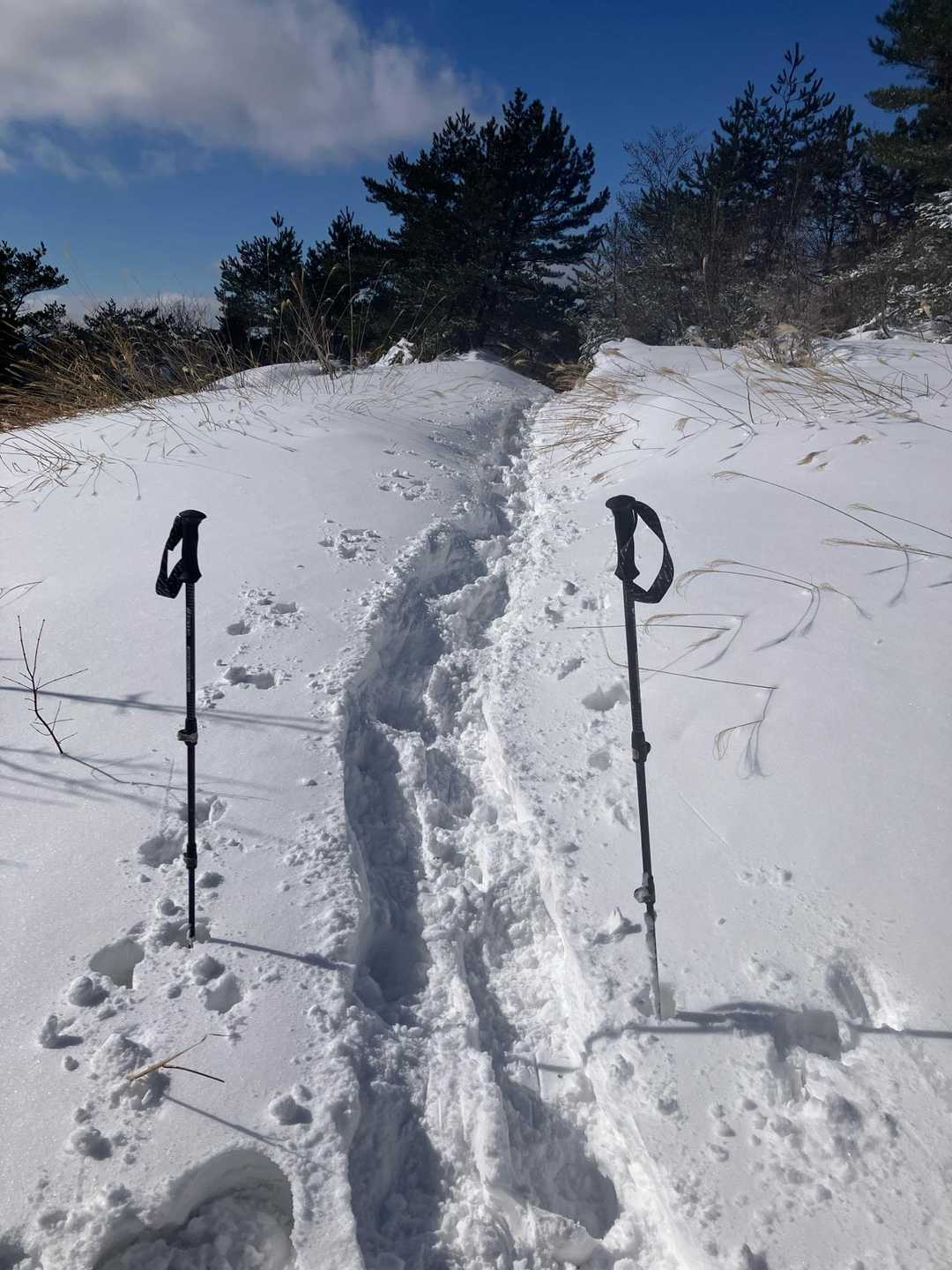 下山のワカン、やっぱ楽しっ！