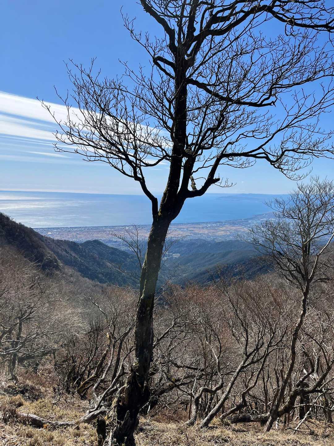 愛鷹山登山口-愛鷹山-馬場平-袴腰岳-一服峠 周回コースの写真