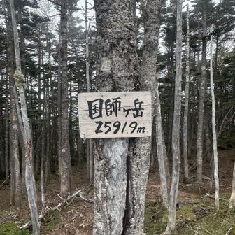 着いたよ(^-^)