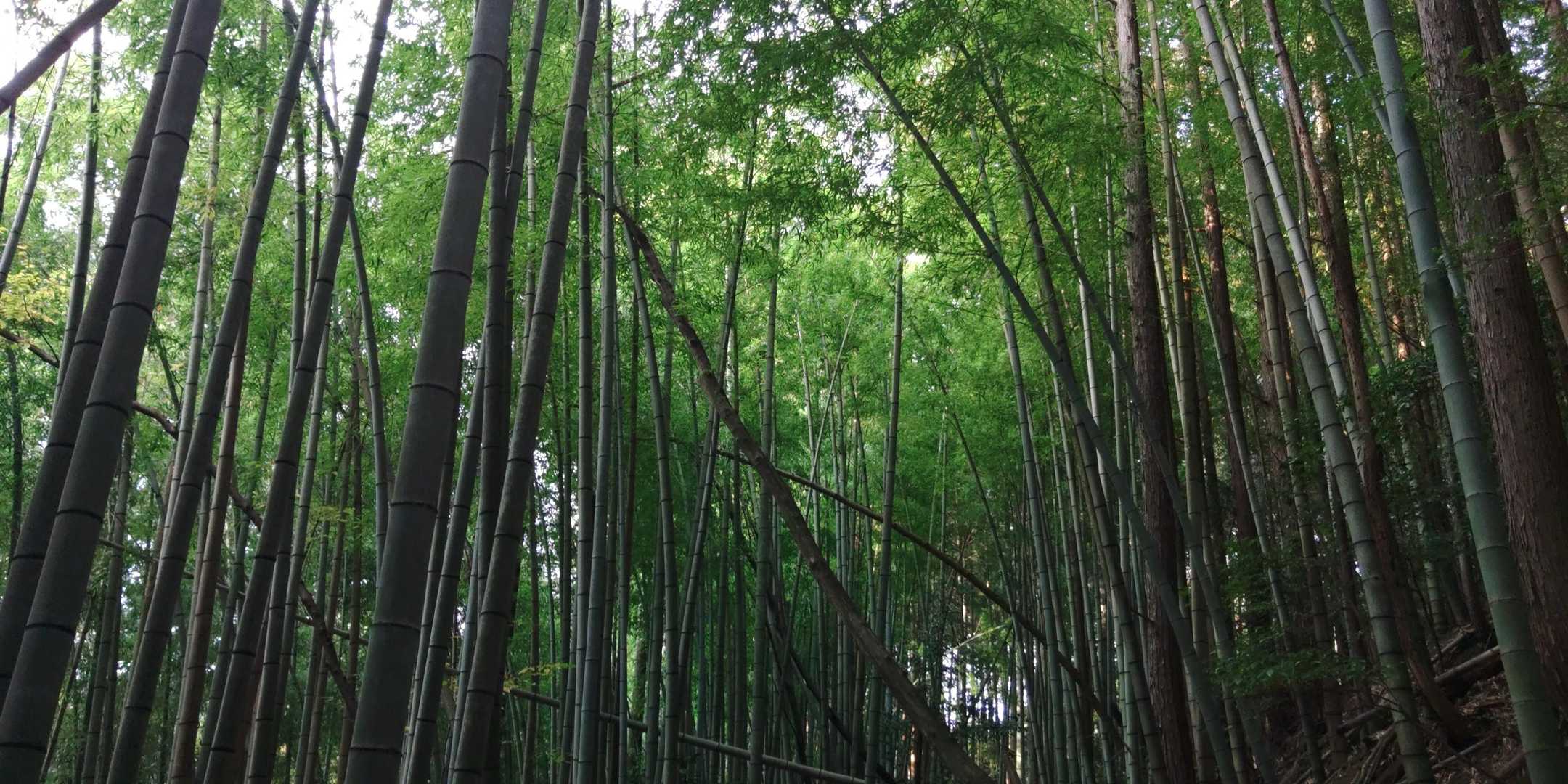 もうすぐ