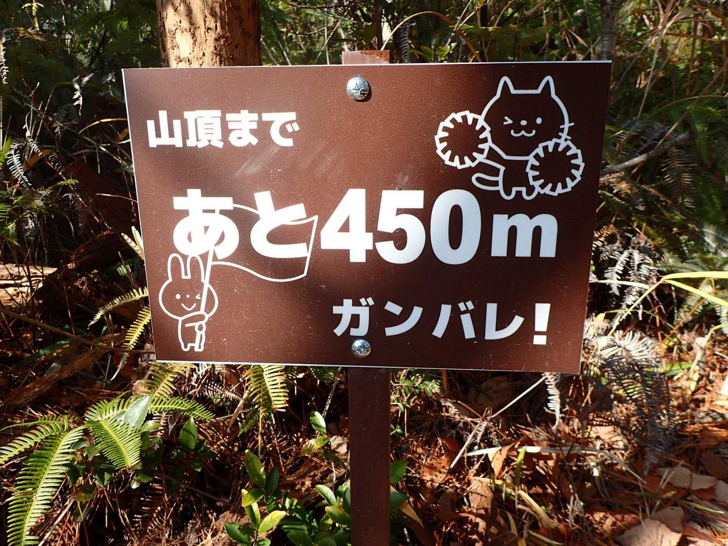 50メートル間隔でこんなに可愛い看板が励ましてくれます