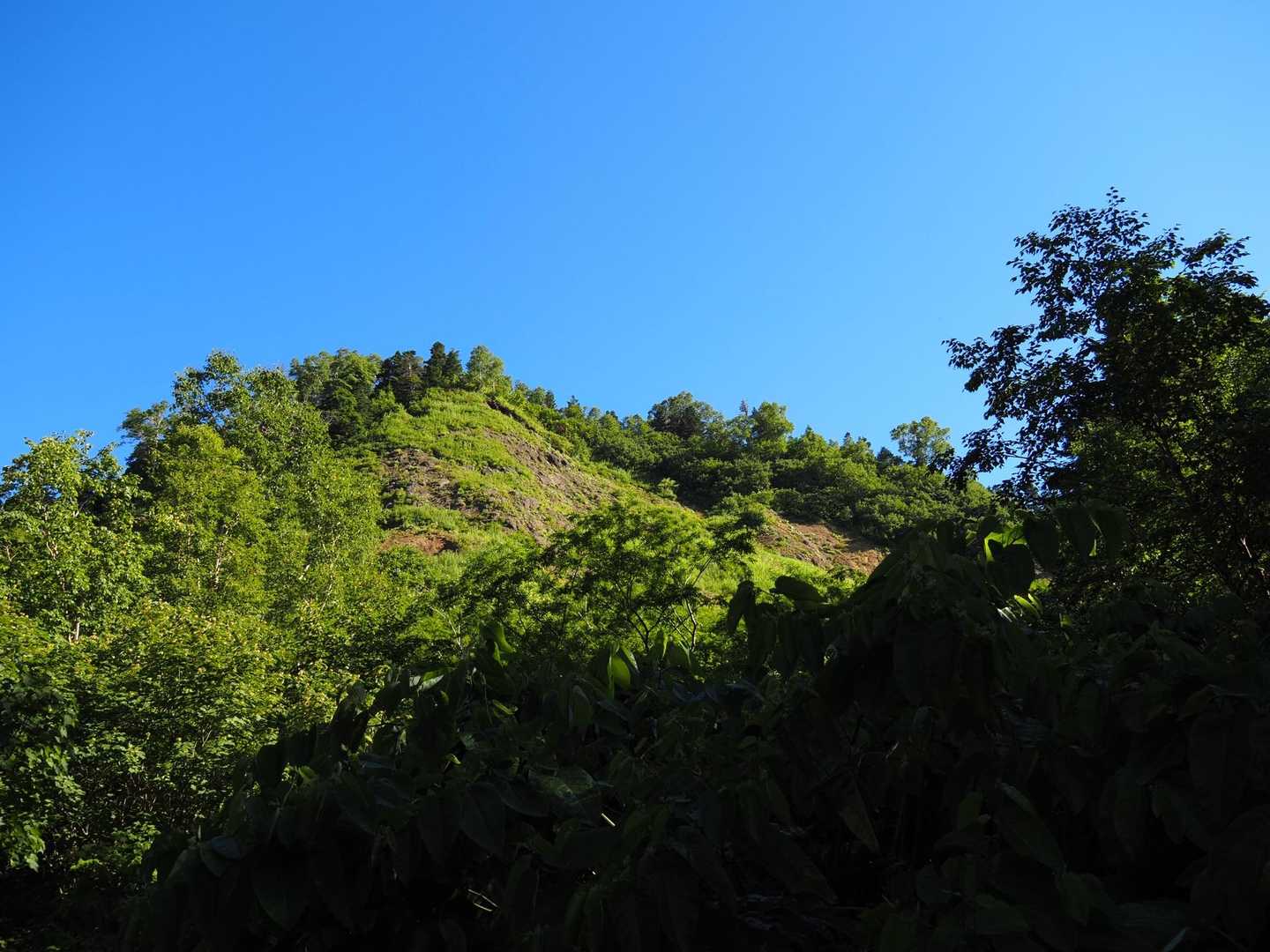 春に来た時、苦戦した絶壁💦
夏道明瞭で今回は最短ルート