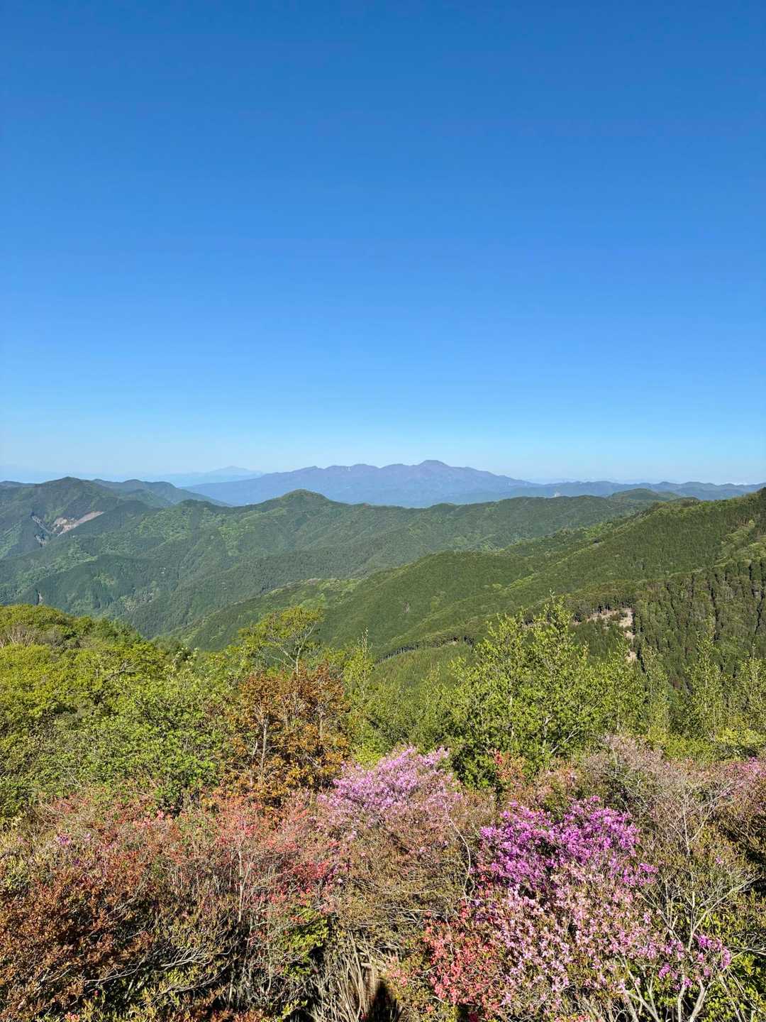 櫓から赤城山方面