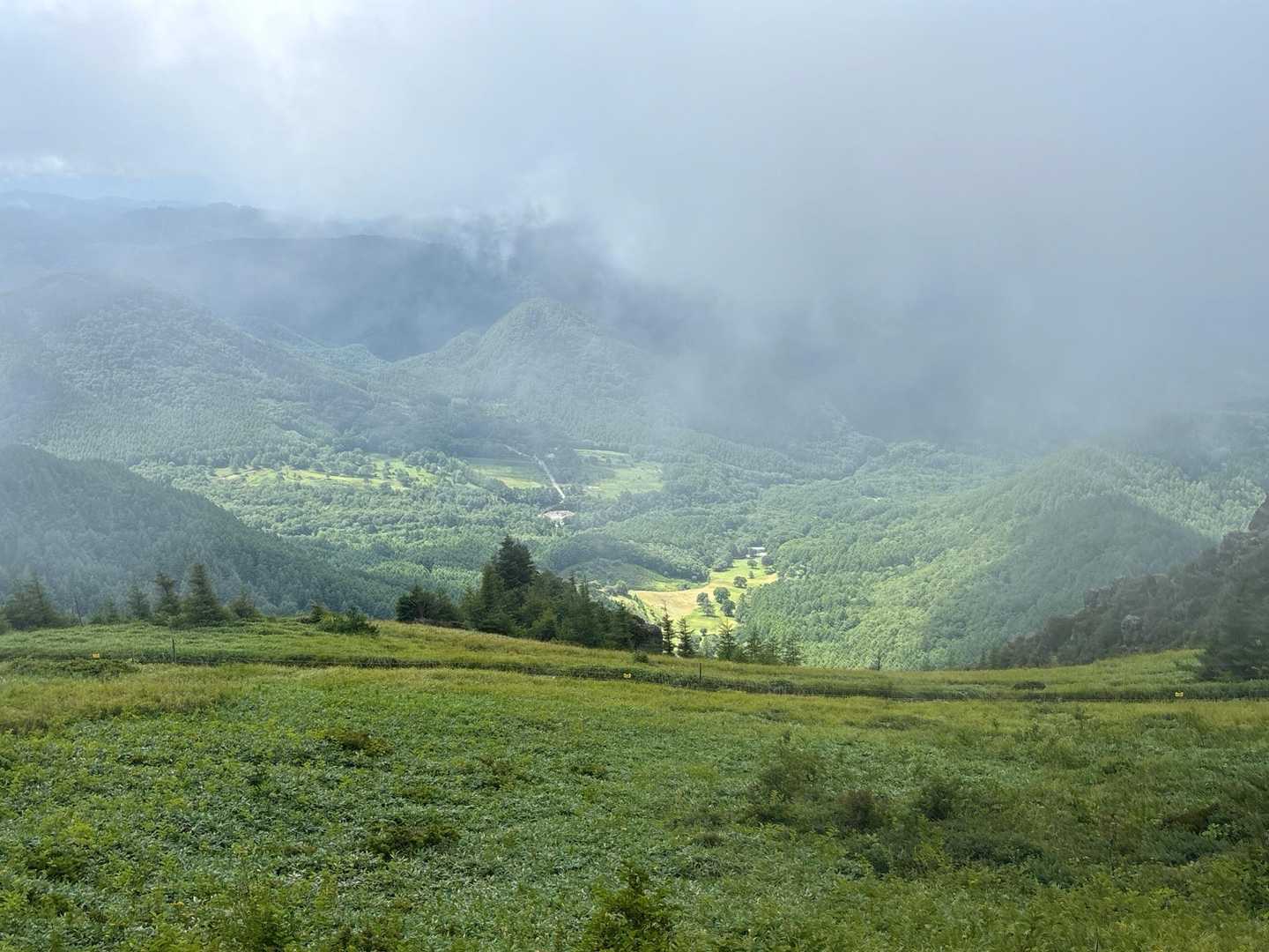 【フラット登山】本州で最も美しい草原・美ヶ原を堪能するの写真