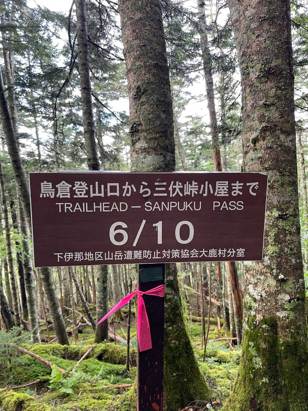 鳥倉登山口⁉️

さっき大鹿登山口って看板だったぞ🪧🤔

ま、いっか😅 ｲｲﾖ ｲｲﾖ