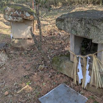 神社が2つ並んでいたにゃ🙏