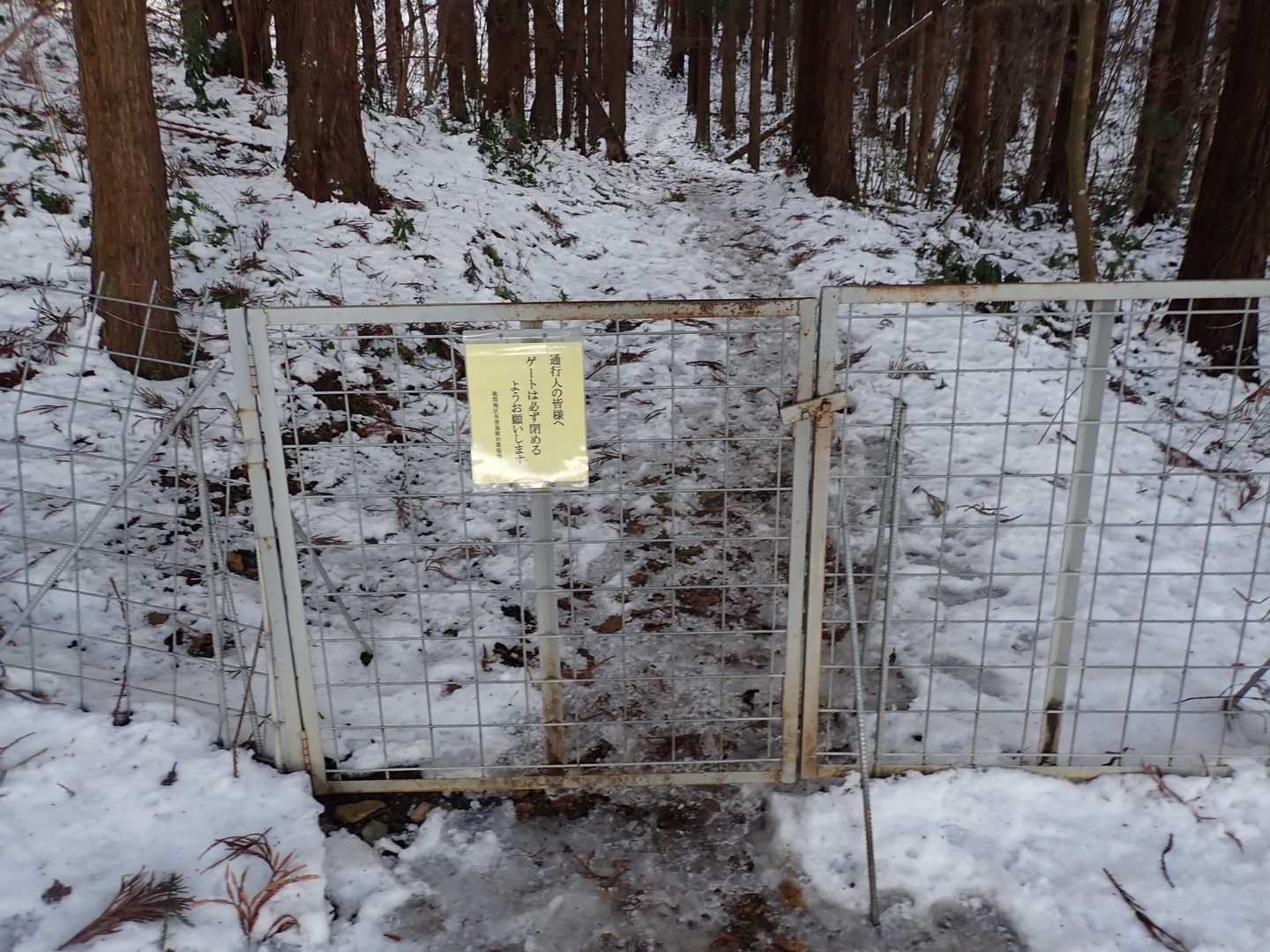 ゲートを開けて行ってきま～す
