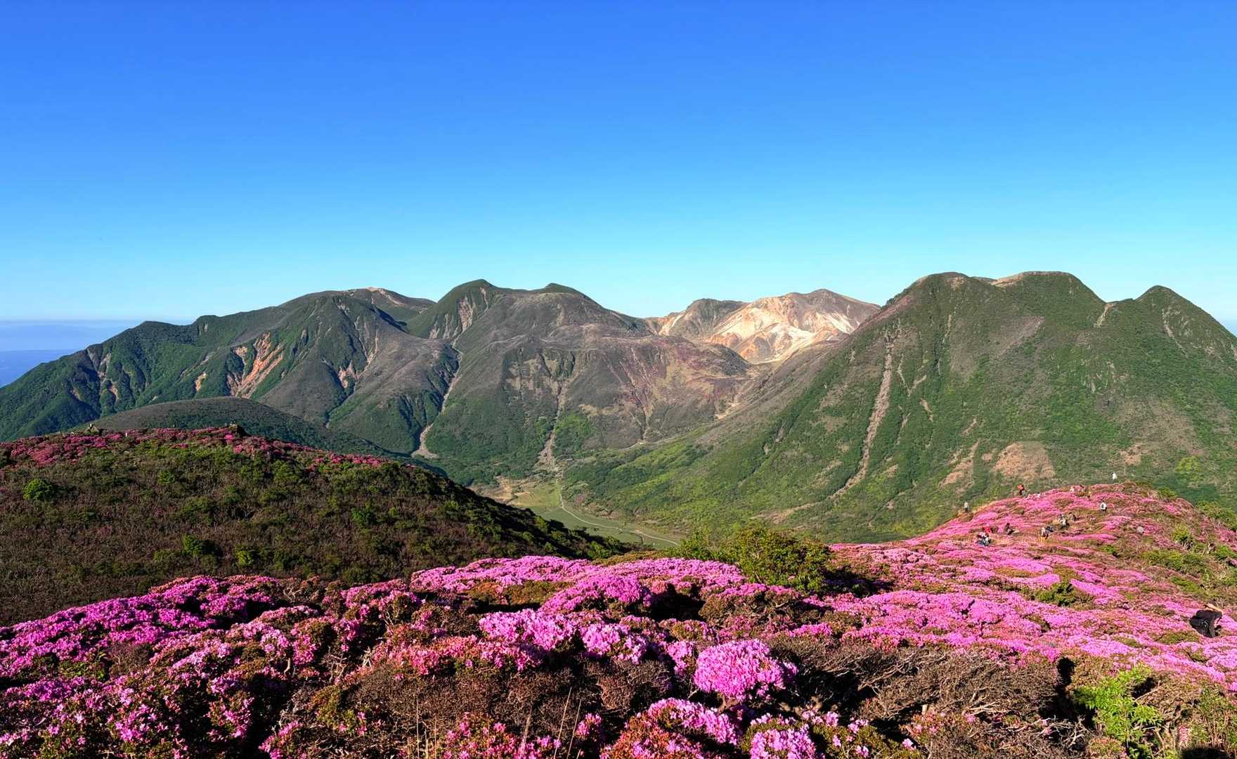 くじゅう17サミッツ➕平治岳・立中山🌸ミヤマキリシマ満開