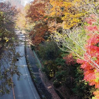 尾張パークウェイの上を渡ります
