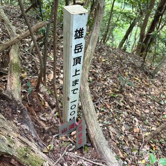 雄岳山頂まであと5分