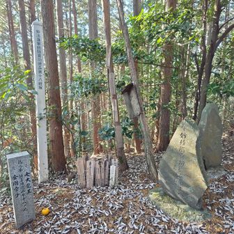 経塚への脇道から急登を越えて第18経塚。千早口駅へのもYAMAPのコメント頼りで気が抜けなかった。