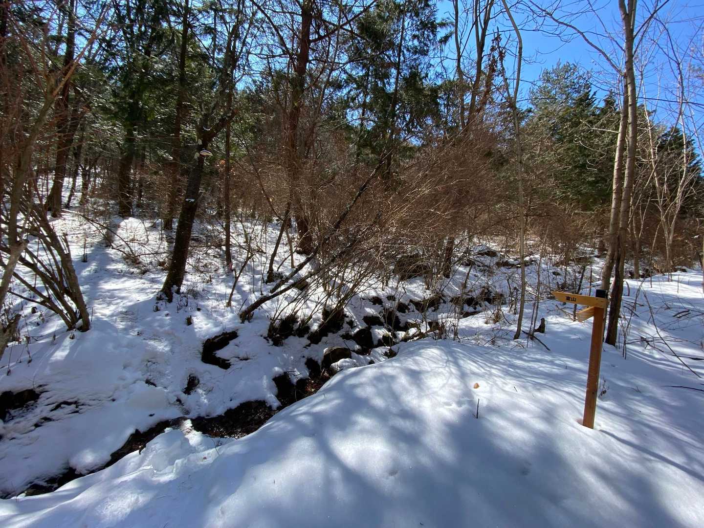 一度、小川を飛び越えま〜す(ﾉ´ω`)ﾉﾋｮｲ