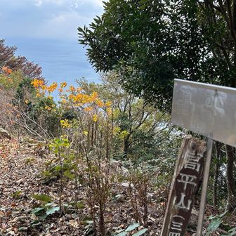 三座目ゲット👍