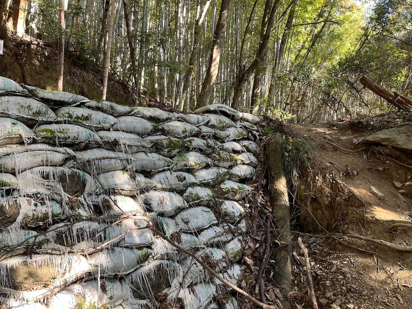 土嚢が沢山積んであったので
水害被害あったのかもですね😥