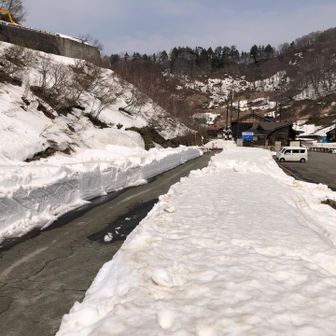 もう春ですね！