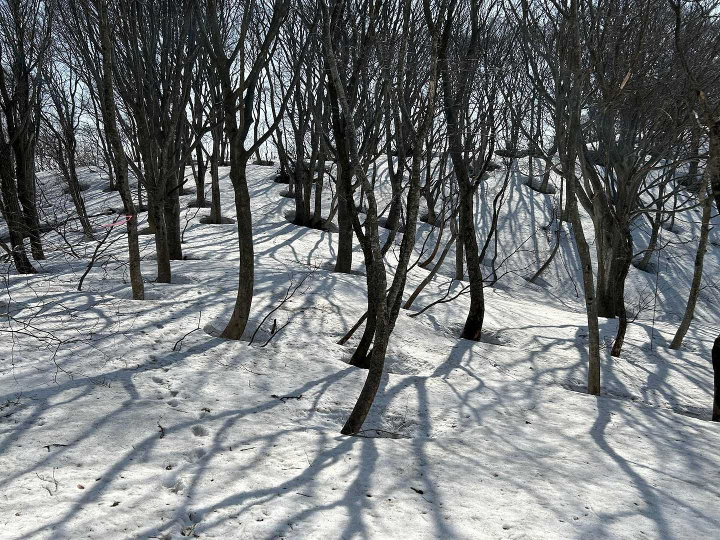 上には雪がたっぷり