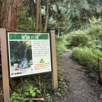 滝のとこまで行けなくなってた……