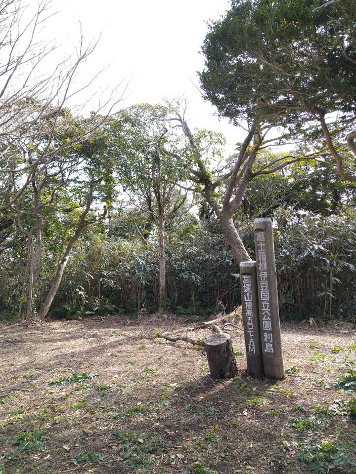 頂上