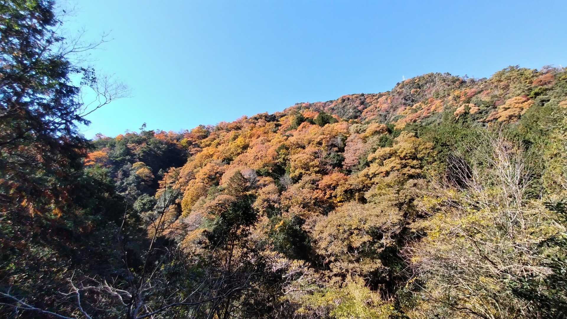 釜ヶ谷山 周回コースの写真