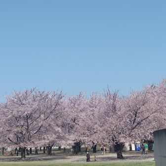 ほーりー