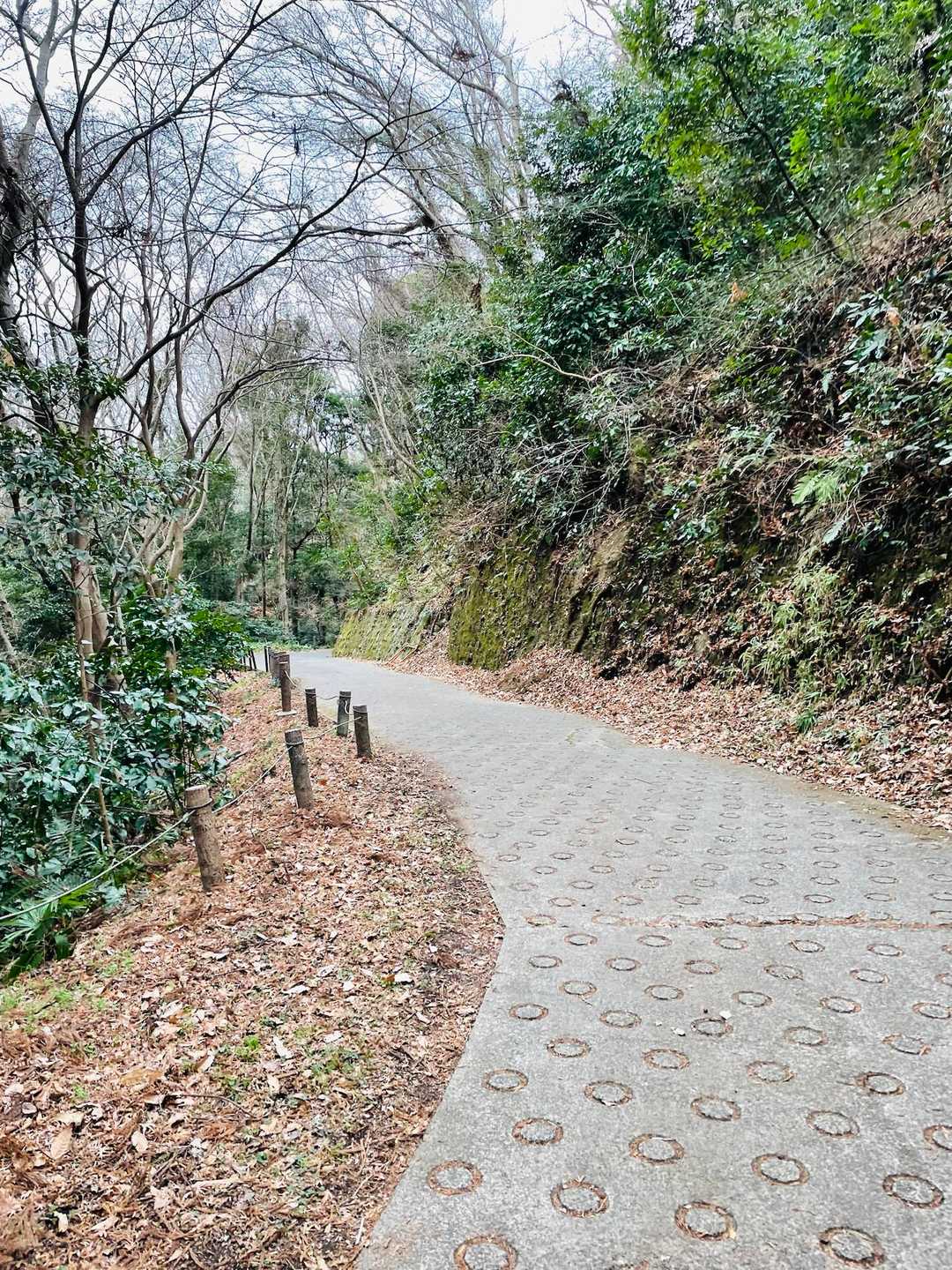 下山は中里口へ