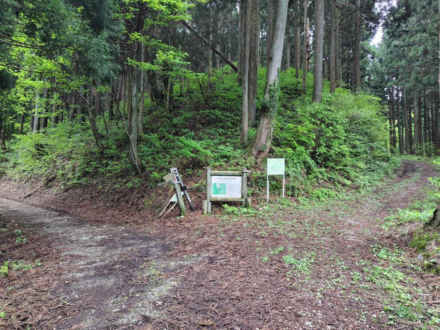 南保富士 往復コースの写真