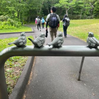 下山完了。鳥さん帰って来ましたよん。