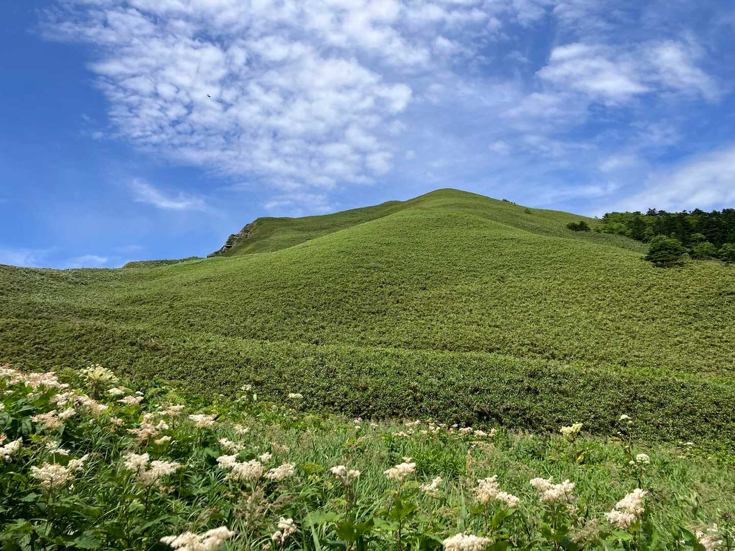 元地灯台-つばめ山-桃岩展望台登山口-礼香寺 縦走コースの写真
