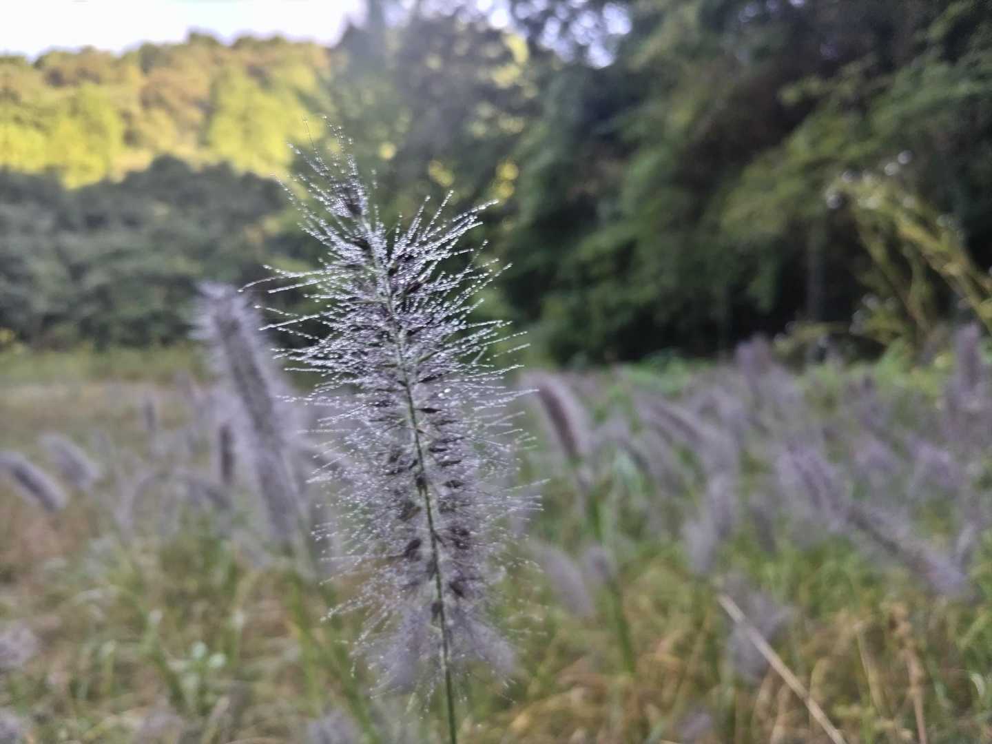 奥槇尾山 往復コースの写真