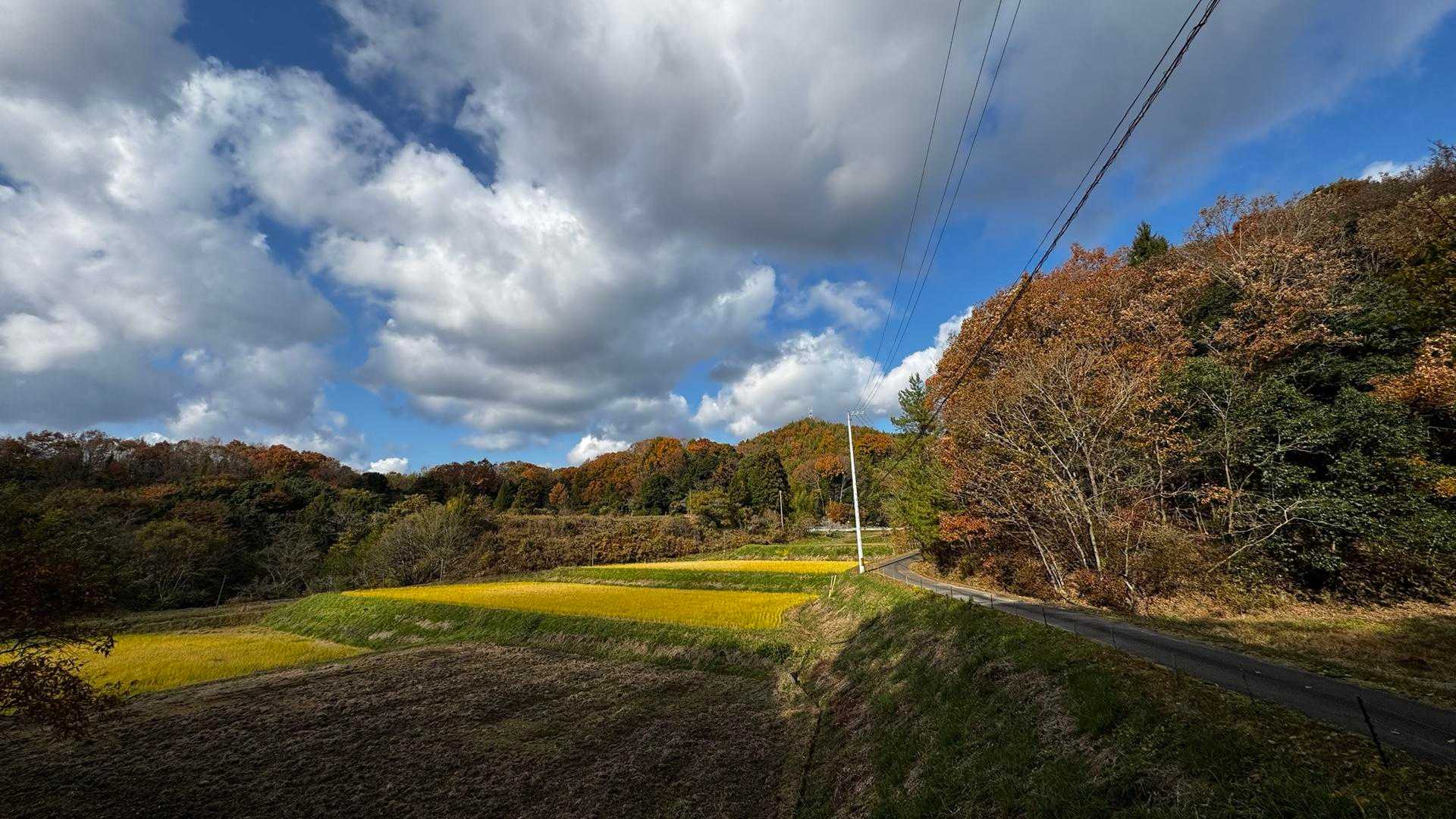 正面のお山が「祇園山」
山頂まで舗装路をのんびり🚶‍♂️ﾃｸﾃｸ♪