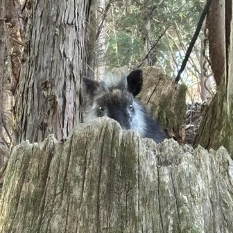 こんにちは☺️