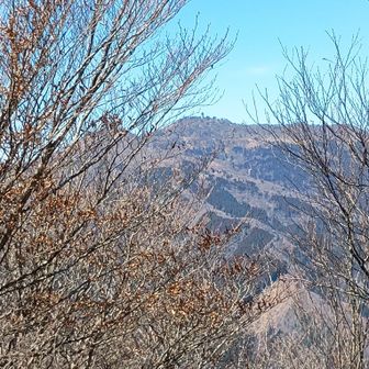 高城山が近い。