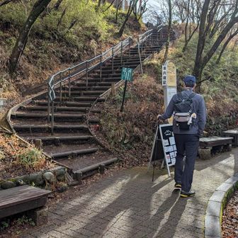ヤビツ峠からスタート
