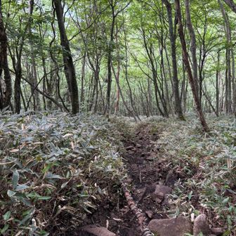 地蔵岳からの下りは急でけっこう大変でした