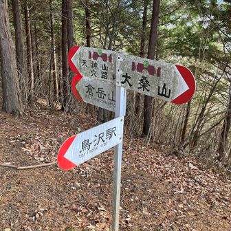 倉岳山に行く元気は残ってませんので、迷わず鳥沢駅方面へ。