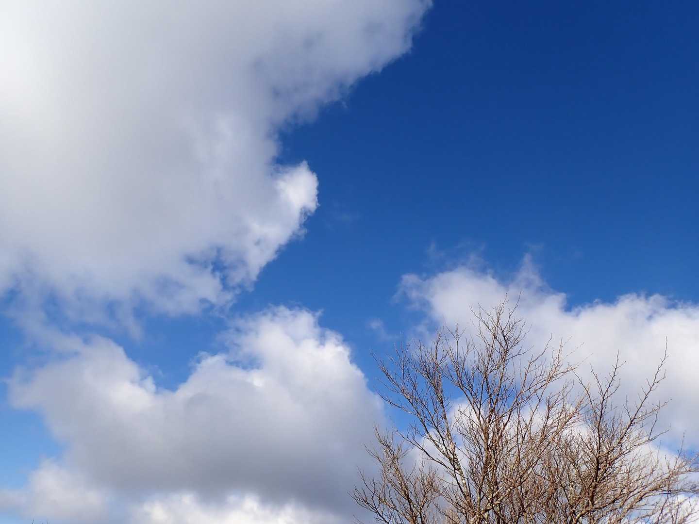今日の空