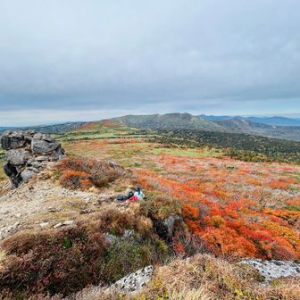 見事！