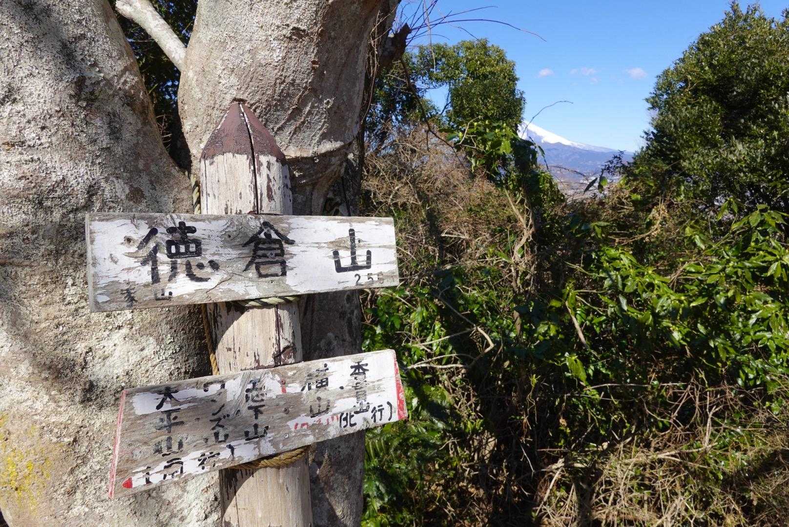🐘さんの形をしているから象山とも言うそうな！