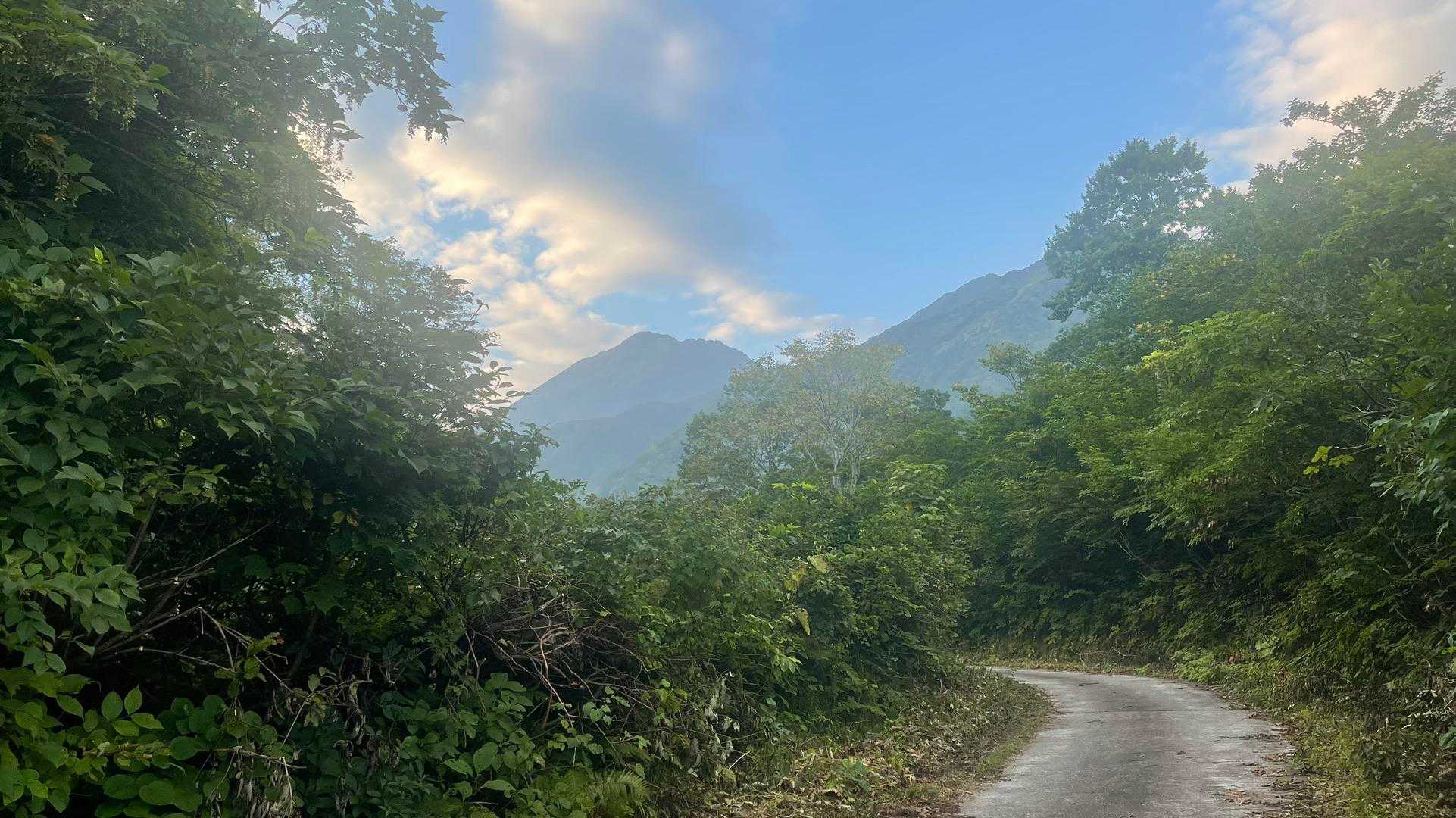 焼山（林道焼山線ゲート）の写真