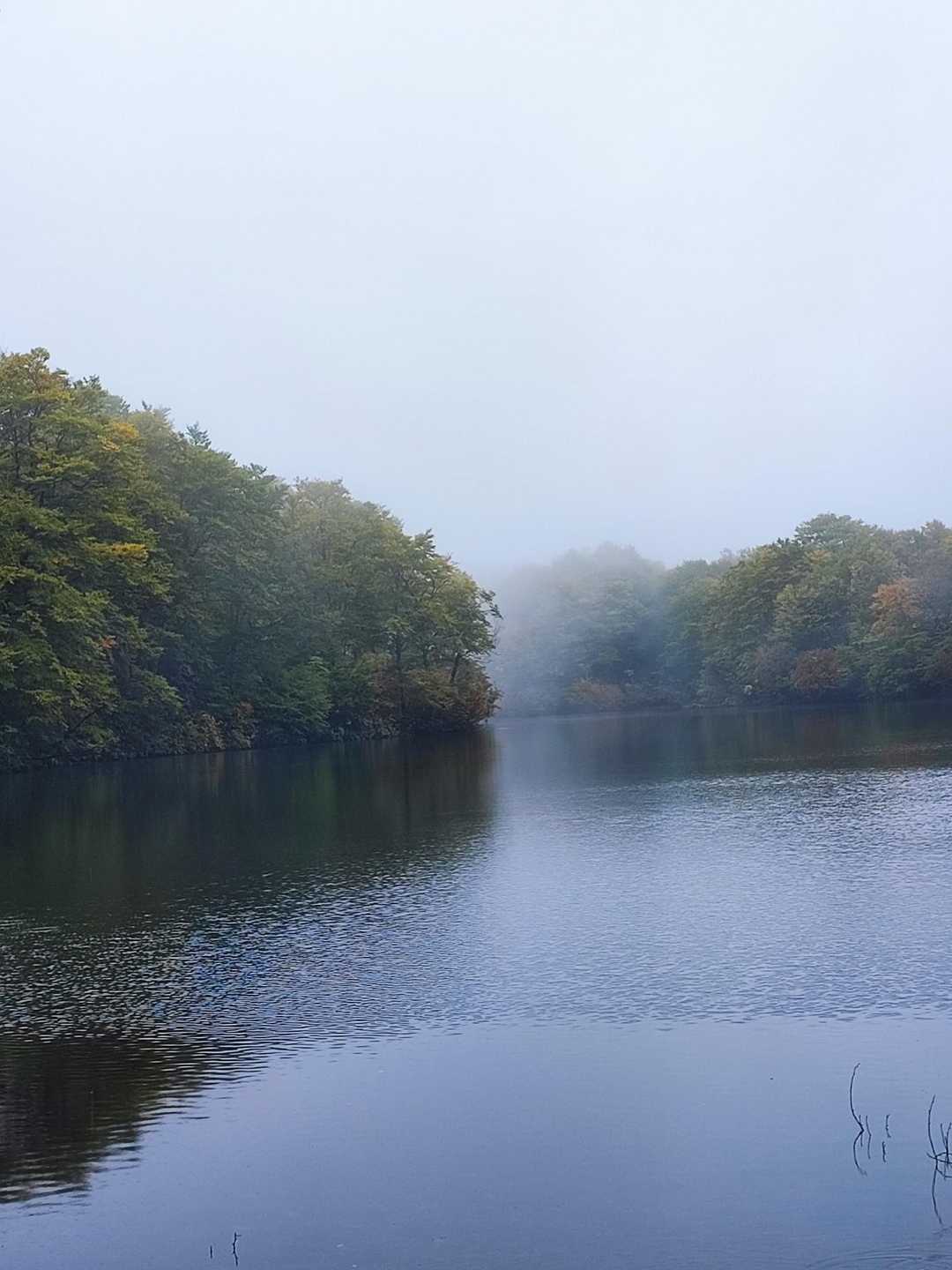 ガスが出てきた
