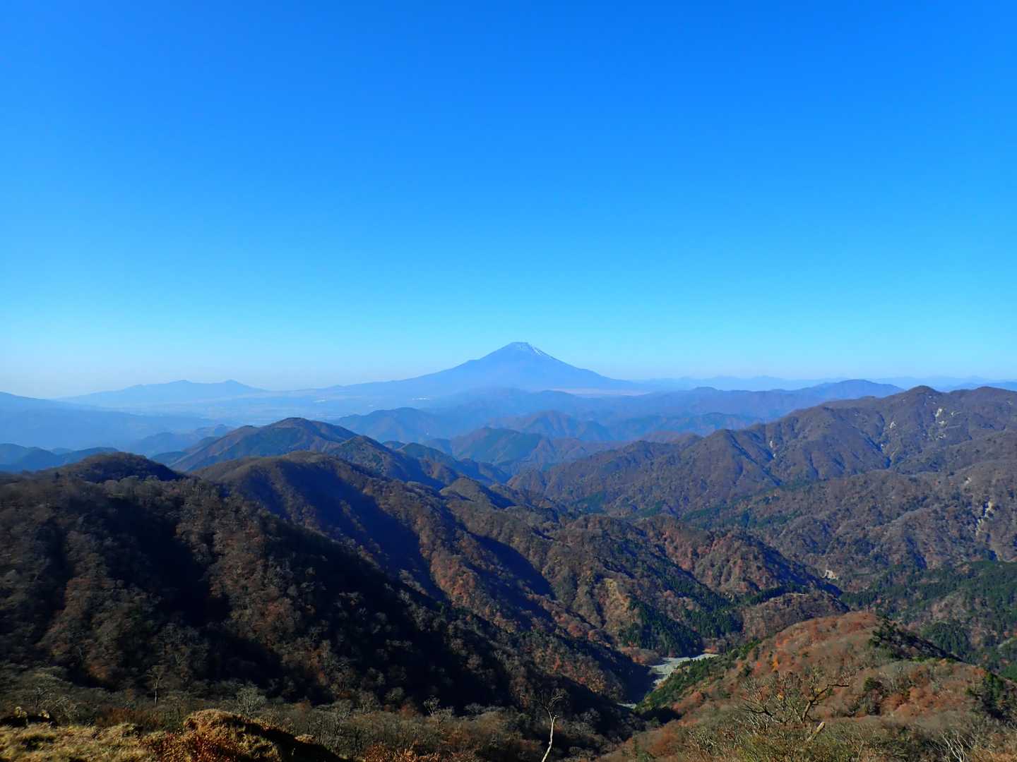 菩提峠-表尾根-塔ノ岳 往復コースの写真