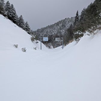 この先、先行者無し⛄