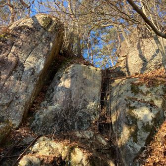 アスレチック好きにはたまりませ〜ん🪜♬