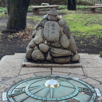 飛鳥山山頂⛰️