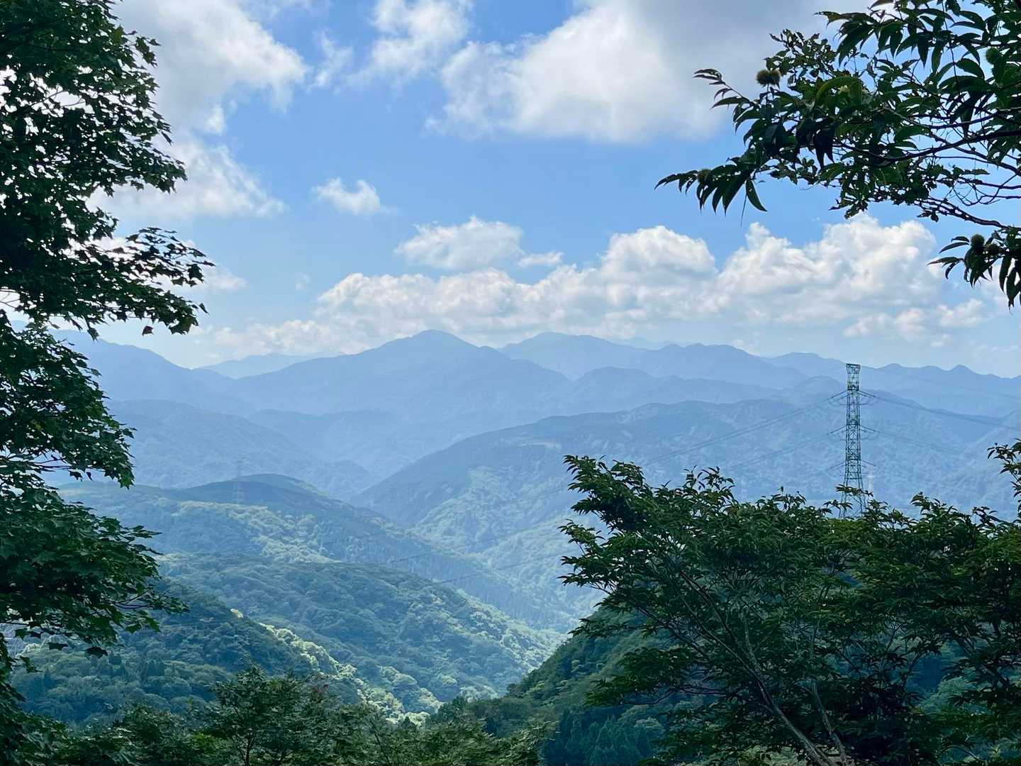 展望台