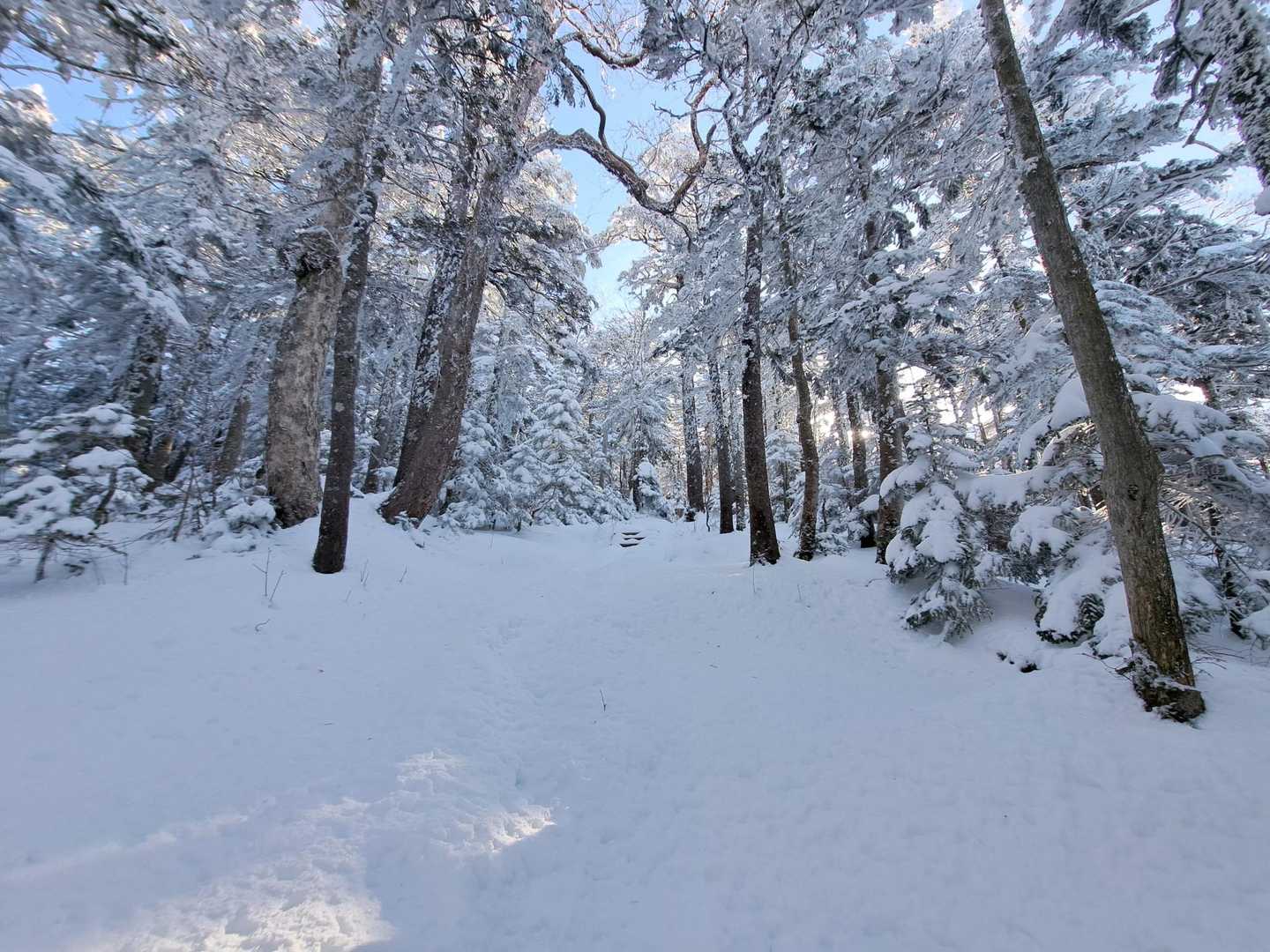 段々雪が深くなります🏃🎶