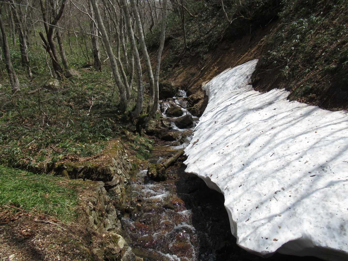 下の方は ほぼほぼ 雪がありませんでした😅 どこかテン泊できそうなところはあるのかな？