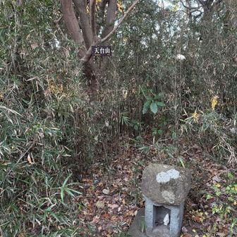 このグレーピークに行くには、この季節でもちょっとした藪漕ぎが必要