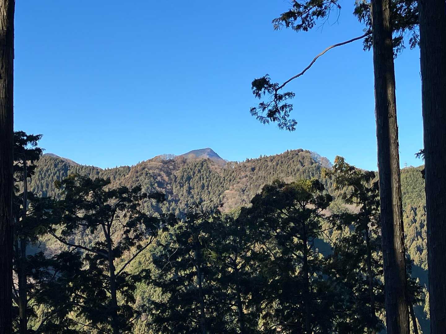 正丸駅-ツツジ山-ぶな峠-飯盛山-飯盛峠-関八州見晴台-関 縦走コースの写真