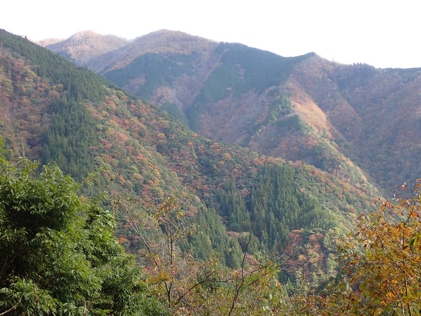 南アルプスの紅葉